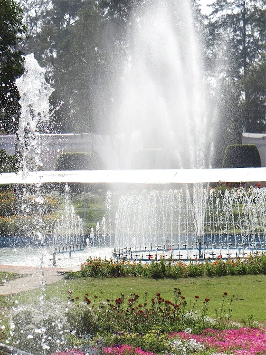 satvikjeevan8